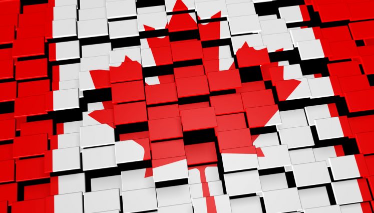Bridging the Digital Divide in Canada 101